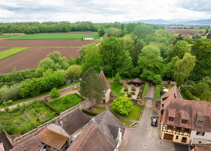 La Ruine - Gite D\'Alsace Jusqu\'A 10 Personnes Avec Spa Interieur