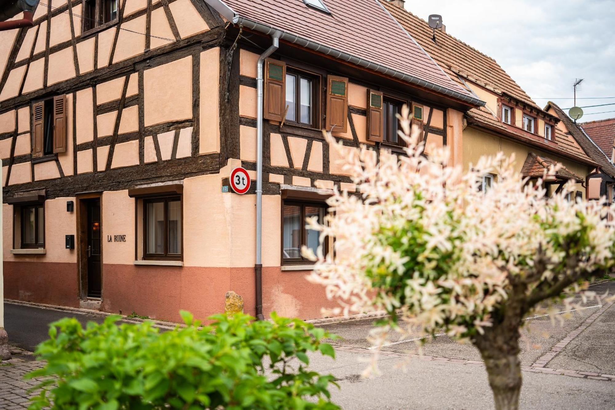La Ruine - D'alsace Jusqu'a 10 Personnes Avec Interieur *